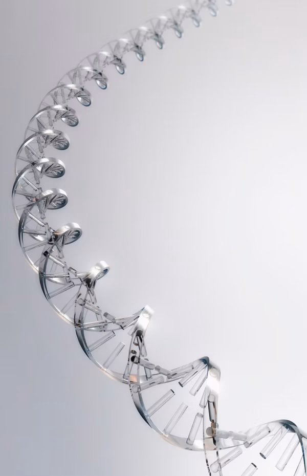 Individual interpretation of the methylation pathway